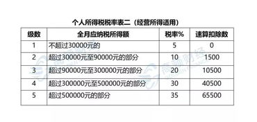 會計專業能力提升 稅務、社保與工商年報代理實踐指南